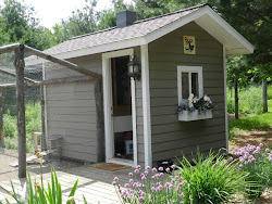 chicken coop fancy coops chickens walk backyard shed inside houses garden coup grey progress included designs plans backyardchickens building awesome