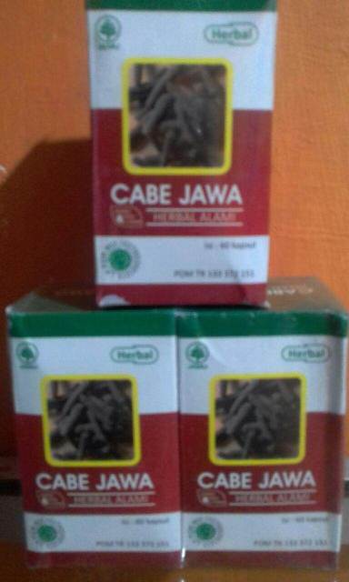 Manfaat Dan Khasiat Cabe Jawa Untuk Kesehatan | Herbal Indo Utama Manfaat Dan Khasiat Cabe Jawa Untuk Kesehatan | Herbal Indo Utama