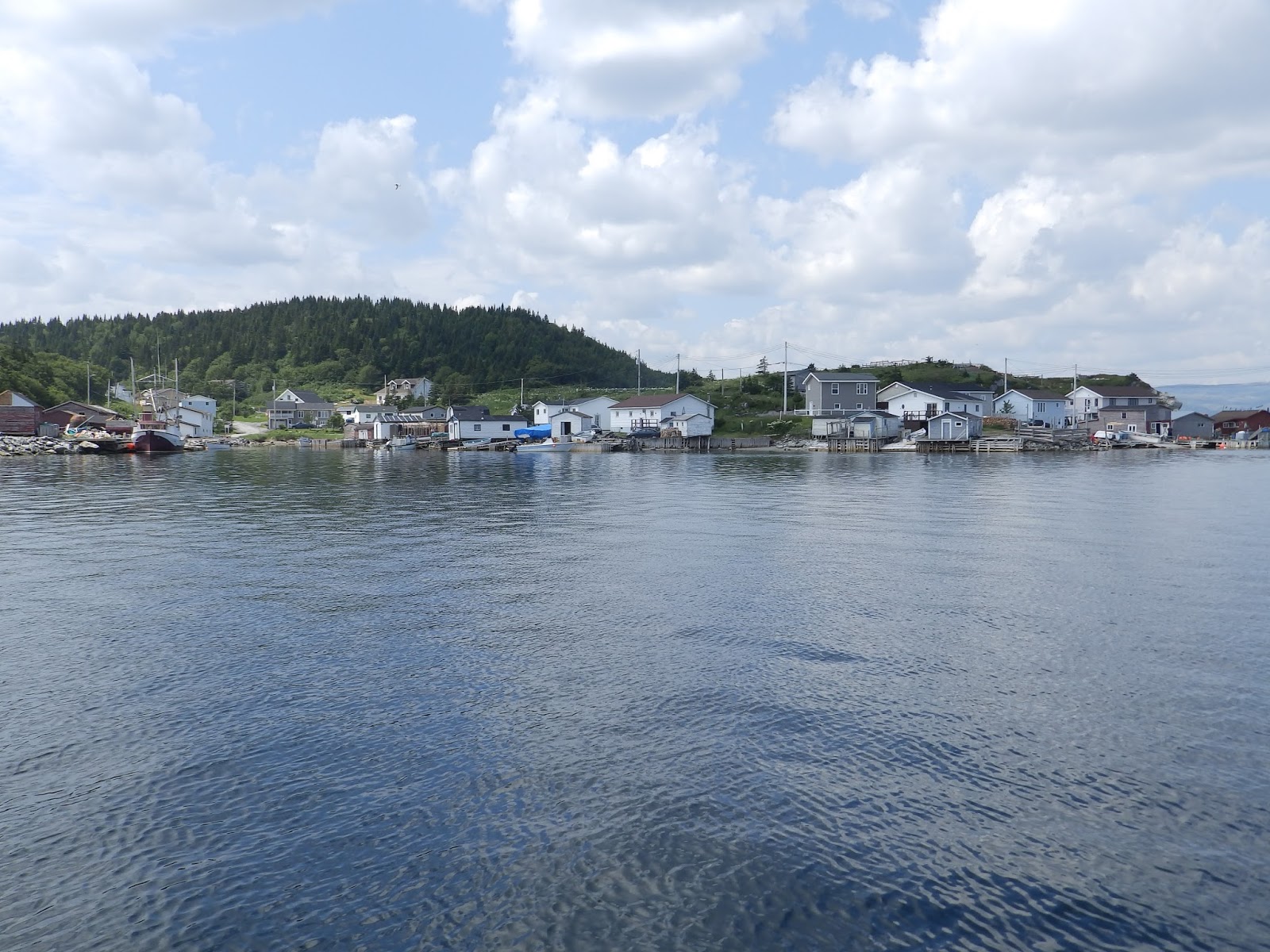 Northern Exposure 2013 Englee To Fleur De Lys, Northeast Newfoundland