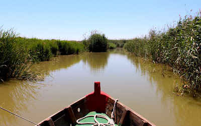 Paseo en barca por la Albufera-Valencia