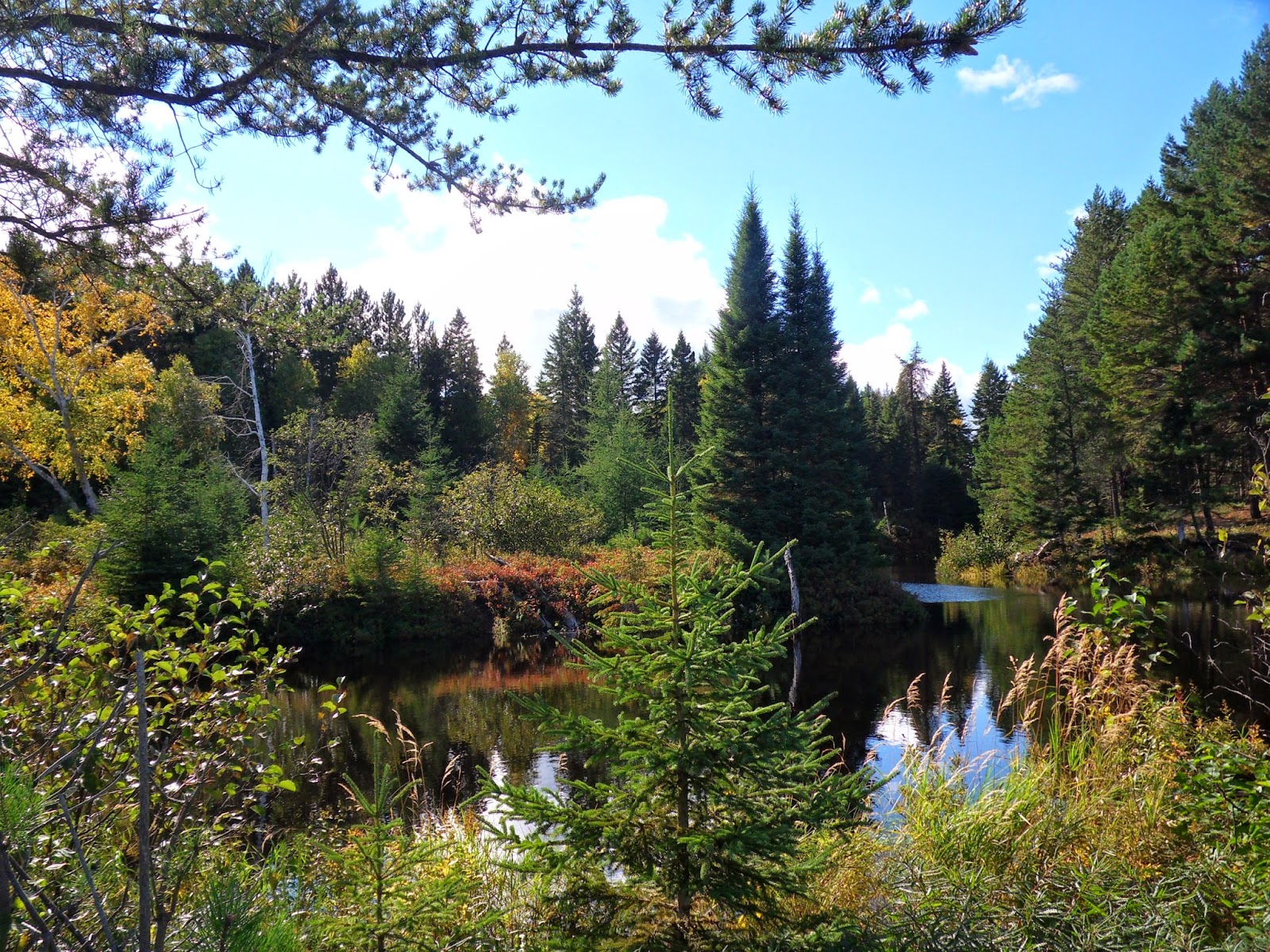 La Gazette des Ours en Voyages Parc National de la Pointe Taillon