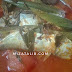 Asam Pedas Ikan Kembung