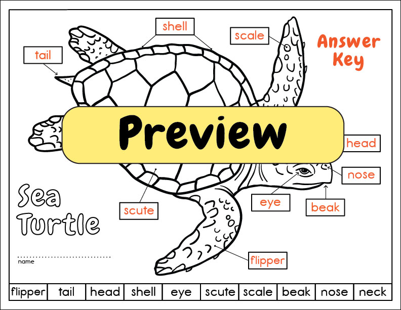 Loreen Leedy Books + More Label a Sea Turtle, Woolly Mammoth, or