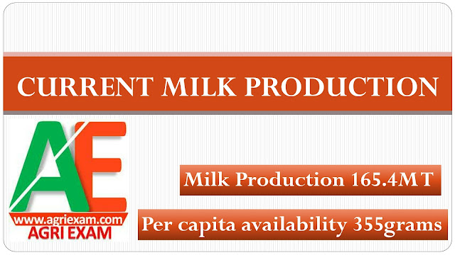 Milk Production data 23/01/2018