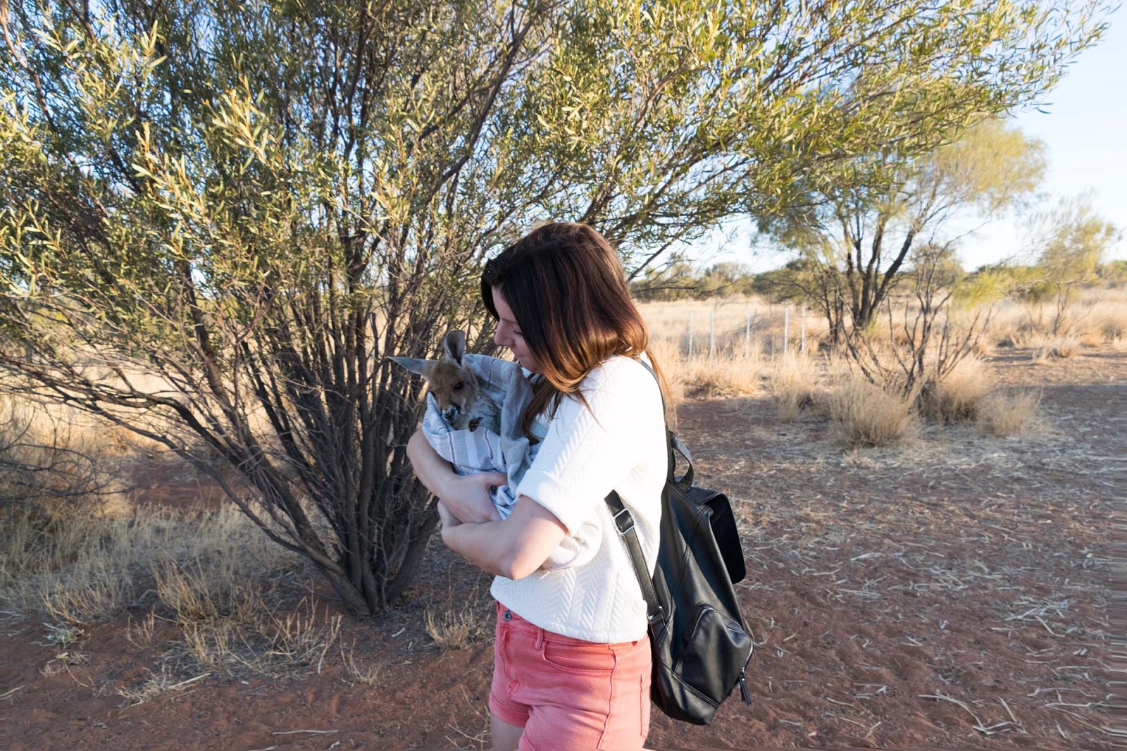 the kangaroo sanctuary alice springs