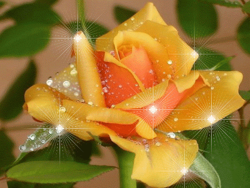 ok%2B-%2B%252521%2525211_jpeg%25D0%25B1%