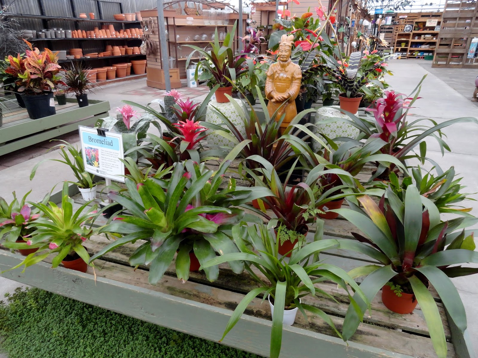 danger garden nursery visits on the way to Seattle...