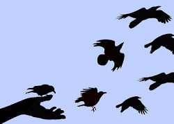 leaving birds blackbird loslaten bird nest child fly blackbirds dead vasthouden singing night flying vs away arise dagen moment young