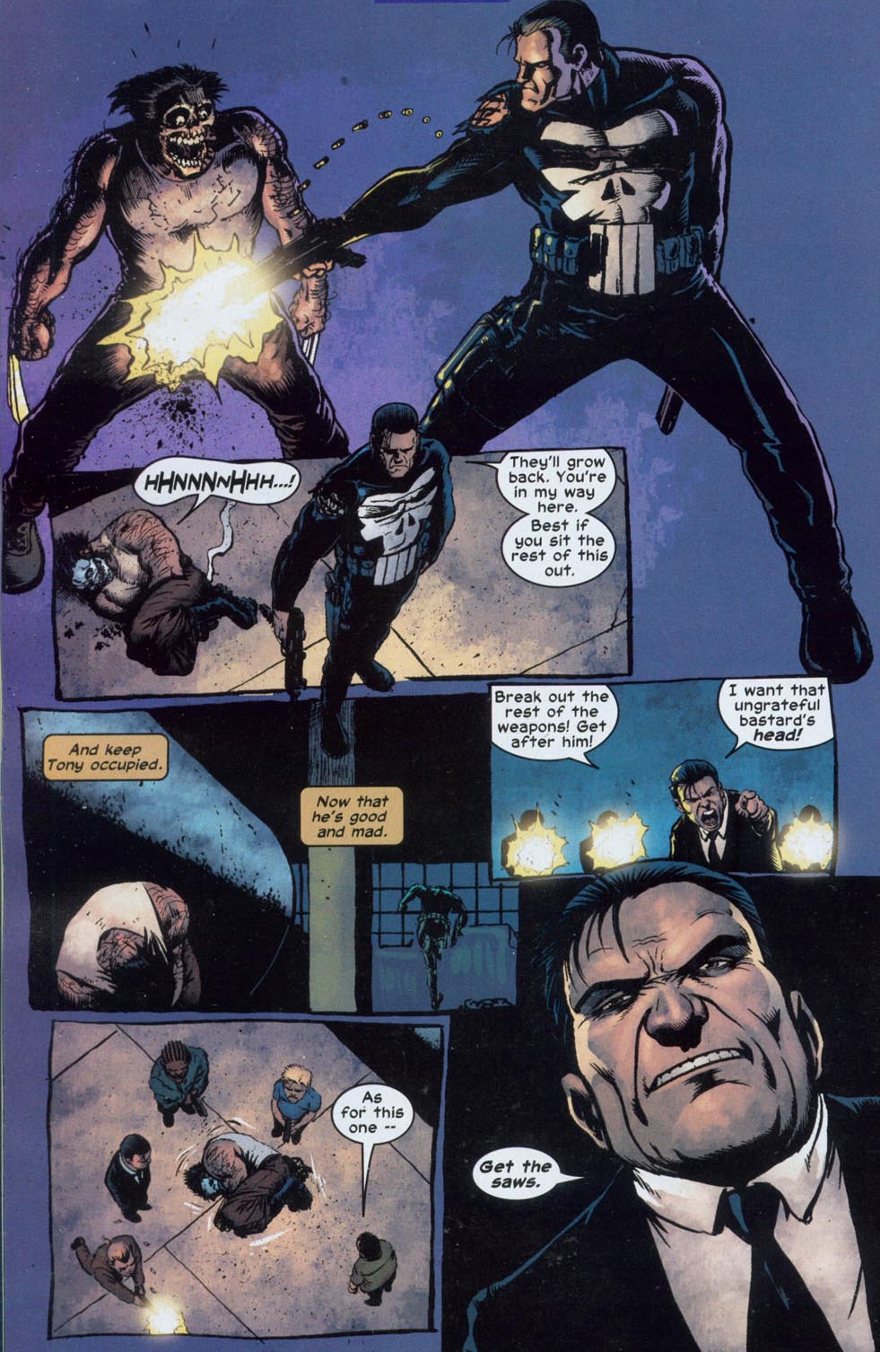 Read online The Punisher (2001) comic -  Issue #17 - Aim Low - 13