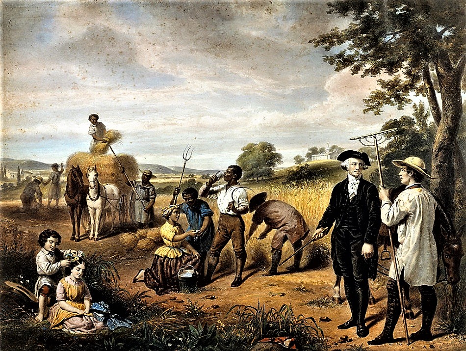 Colonial & Early American Gardens Geo Washington (17321799) A Man