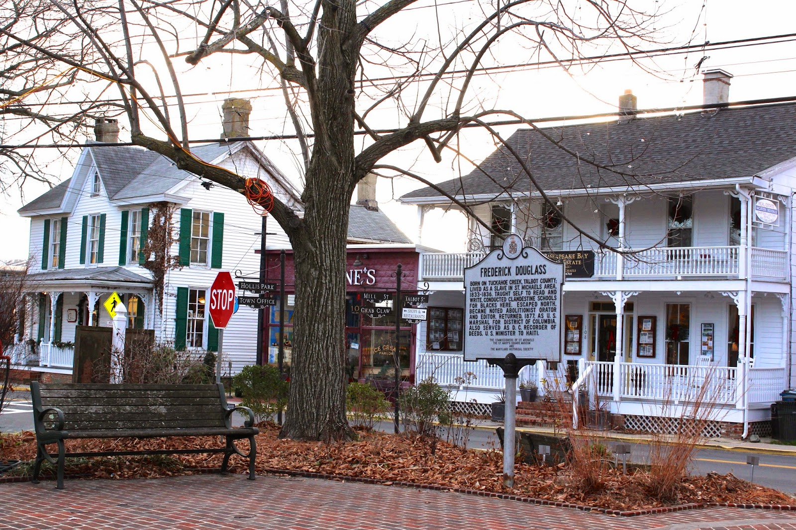 figs flowers food CAN'T GET ENOUGH OF CHRISTMAS ST. MICHAELS