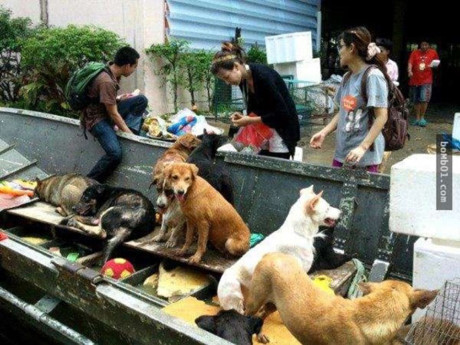 Trai tim tan chay voi anh xuc dong ve 