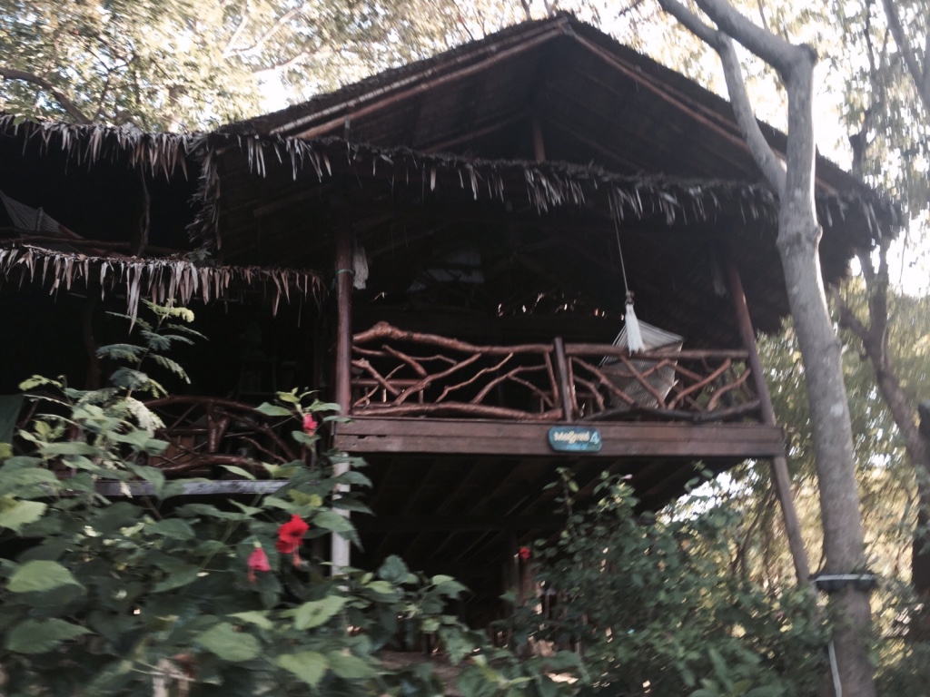 PHI PHI - Tailandia noviembre/diciembre 2015 (5)