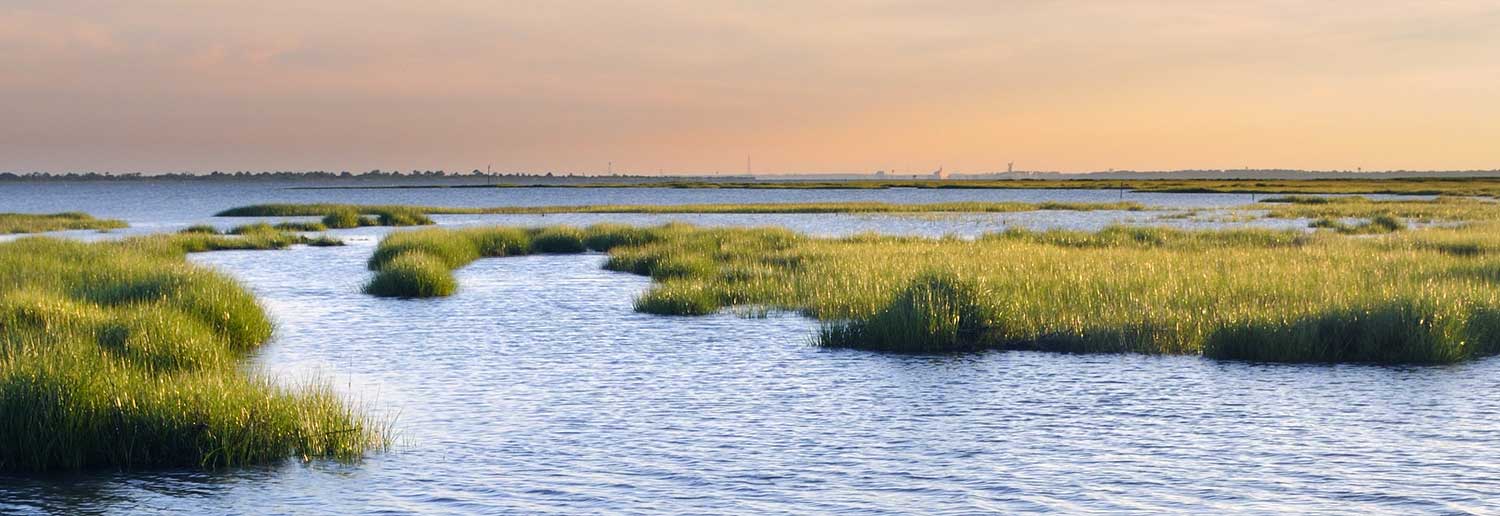 Atlantic Coast Financial Atlantic Coast Bank Login Banking Choices Atlantic Coast Financial Atlantic Coast Bank Login Banking Choices