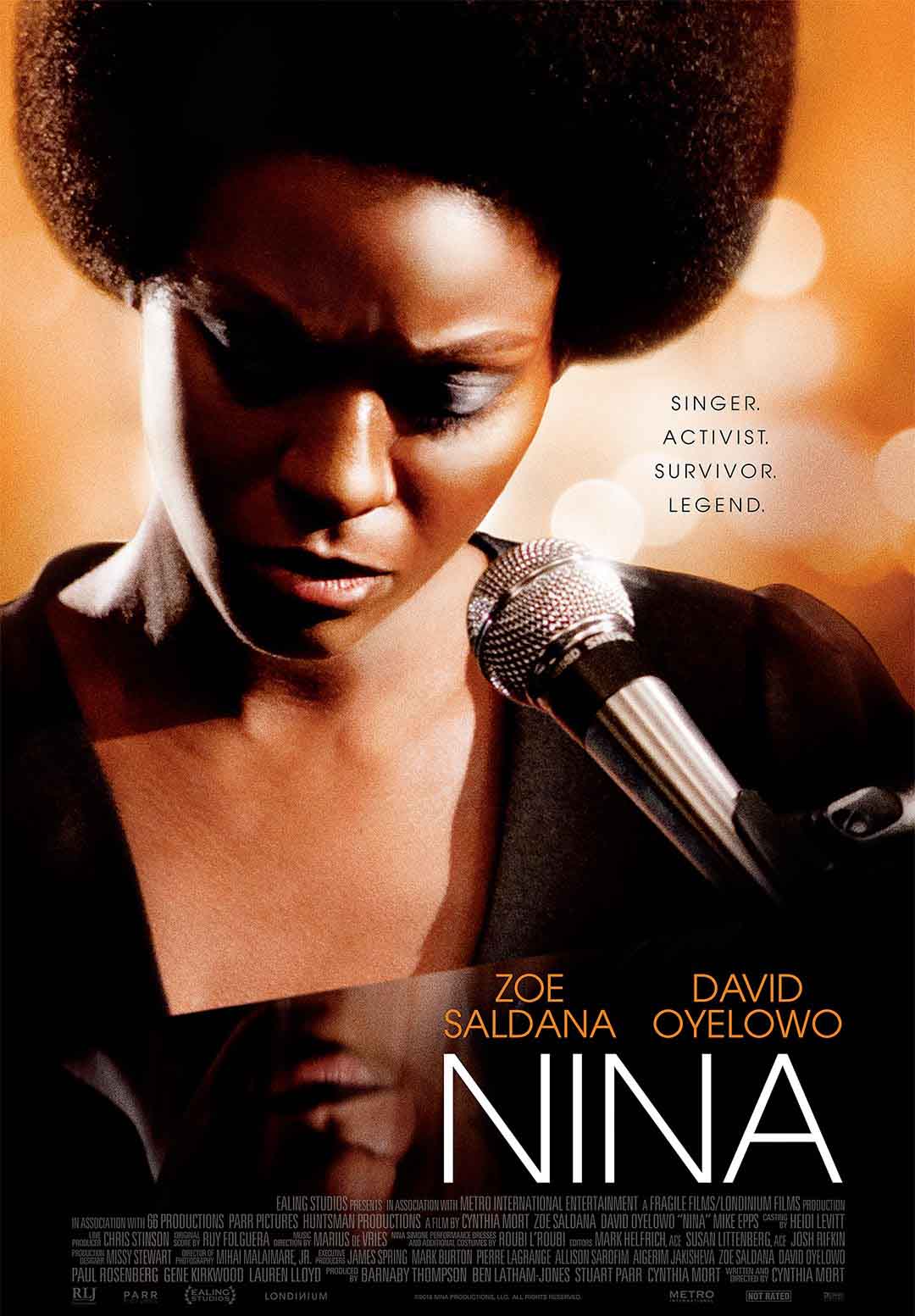 Nina Torrent - Blu-ray Rip 720p Legendado (2016)