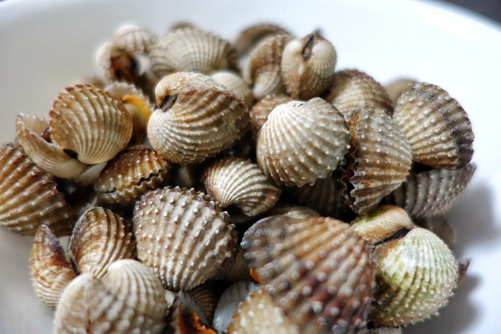 Cockles Healthy Snack For Your Low Carb Diet