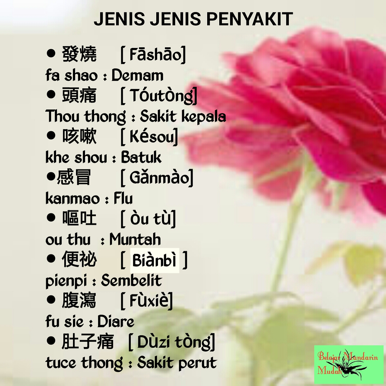Jenis Jenis Penyakit - BELAJAR MANDARIN