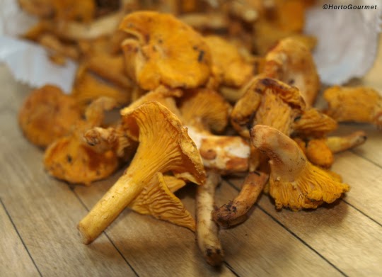 Revuelto de Rebozuelo o Chantarelle HortoGourmet
