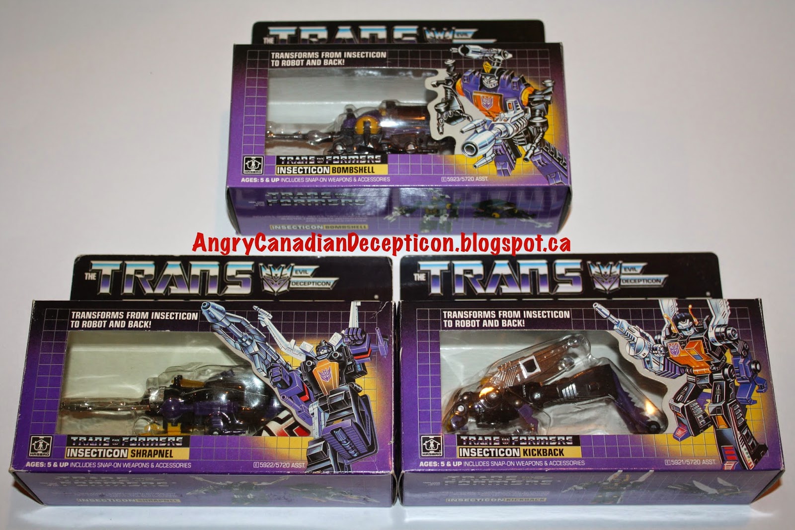 g1 insecticon toys
