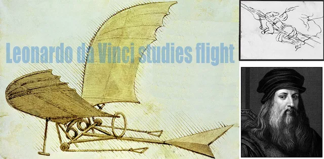 Leonardo da Vinci studies flight illustration picture