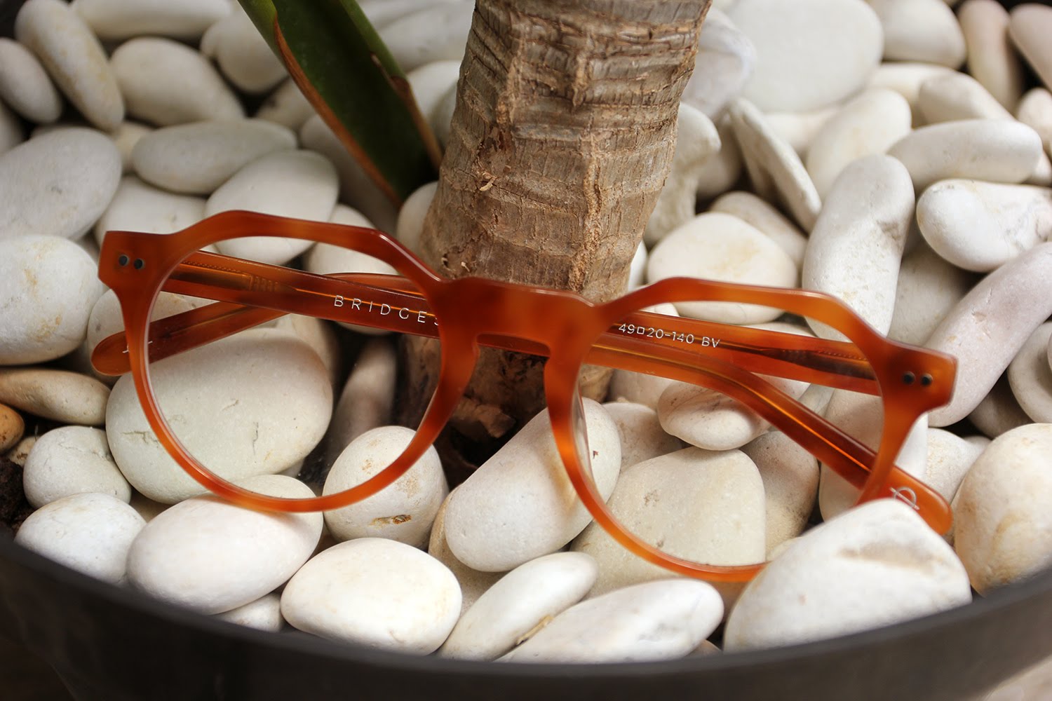 Bridges Eyewear Charles 2