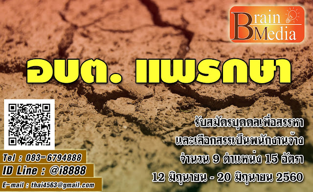 องค์การบริหารส่วนตำบลแพรกษาใหม่ เปิดสอบ งานราชการ