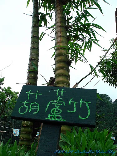 皇后鎮森林|三峽景觀餐廳|賞螢-可愛動物園-烤肉露營