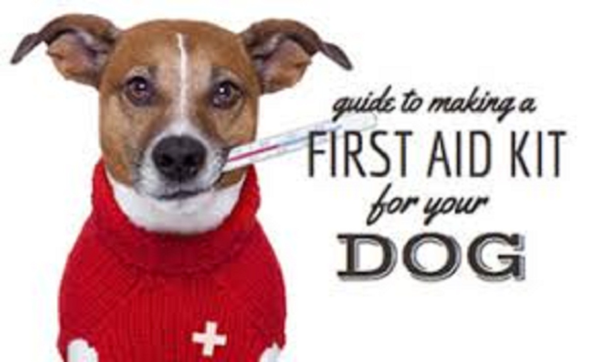 Guide to Making a First Aid Kit for your Dog Doglopedix