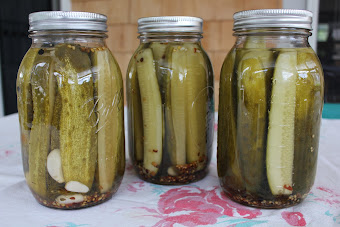 My Freshly Preserved Dill Pickles