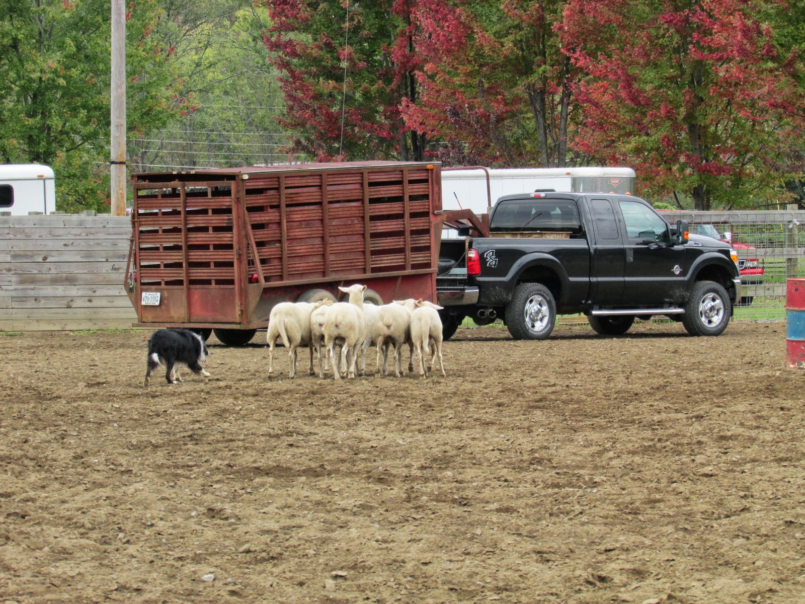 Lee County Virginia Stop 17 Farm & Family Day in Pennington Gap