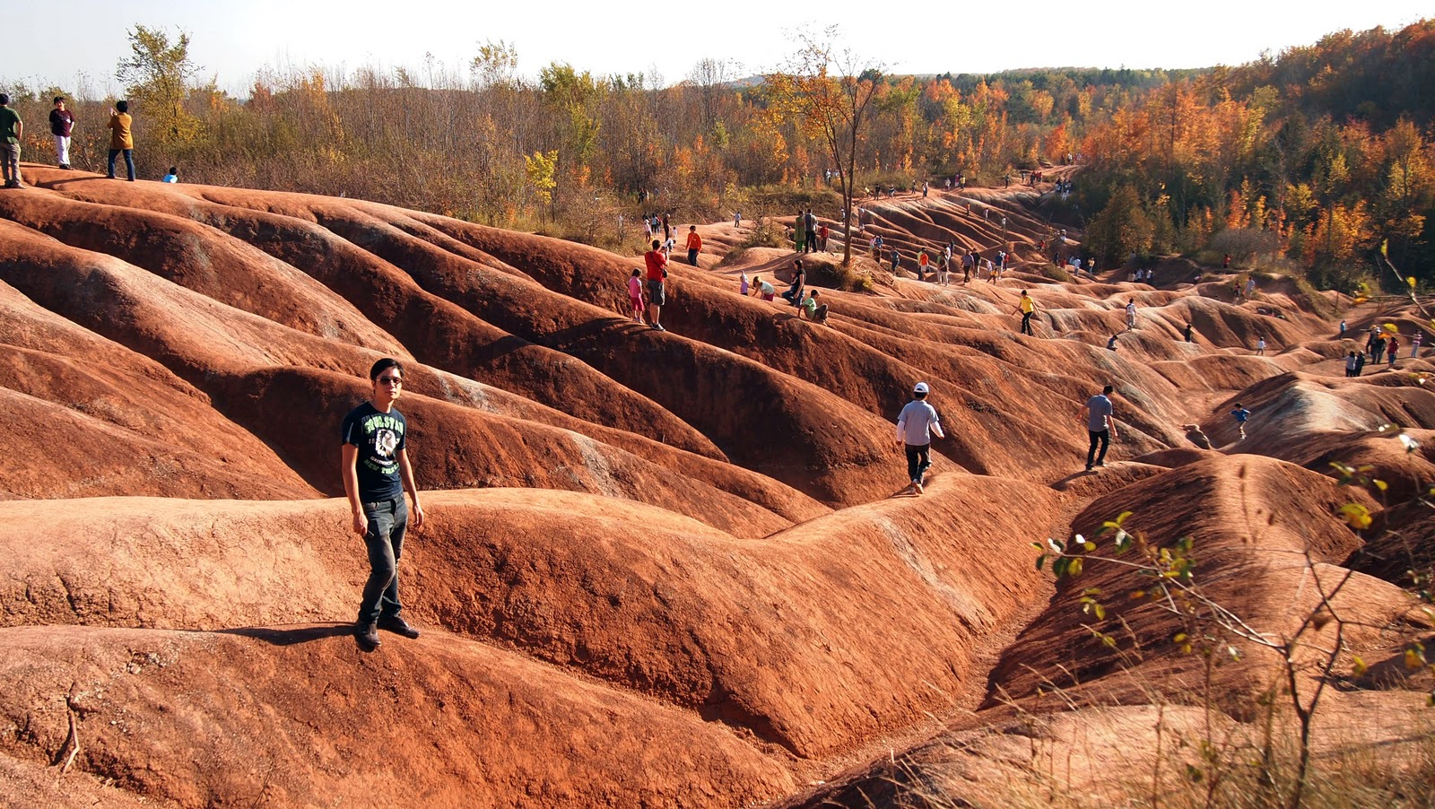 k a t cheltenham badlands