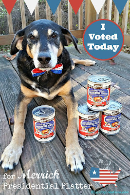 patriotic senior rescue dog