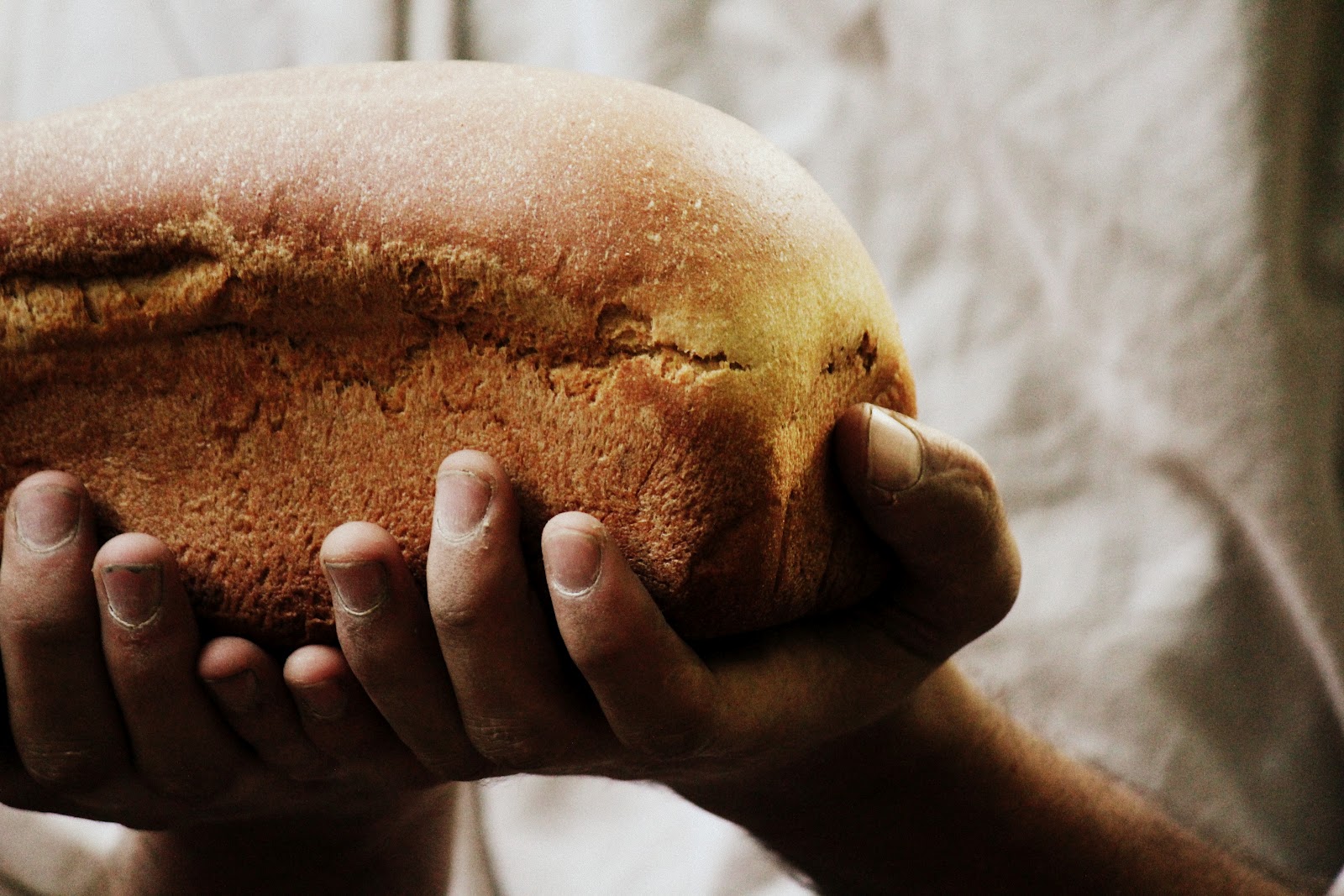 Kisah Sepotong Roti - Workspace99