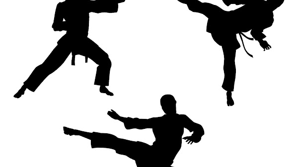 Shotokan - Images Of Karate