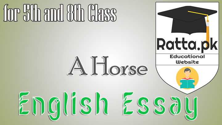  A Horse English Essay for 5th and 8th Class