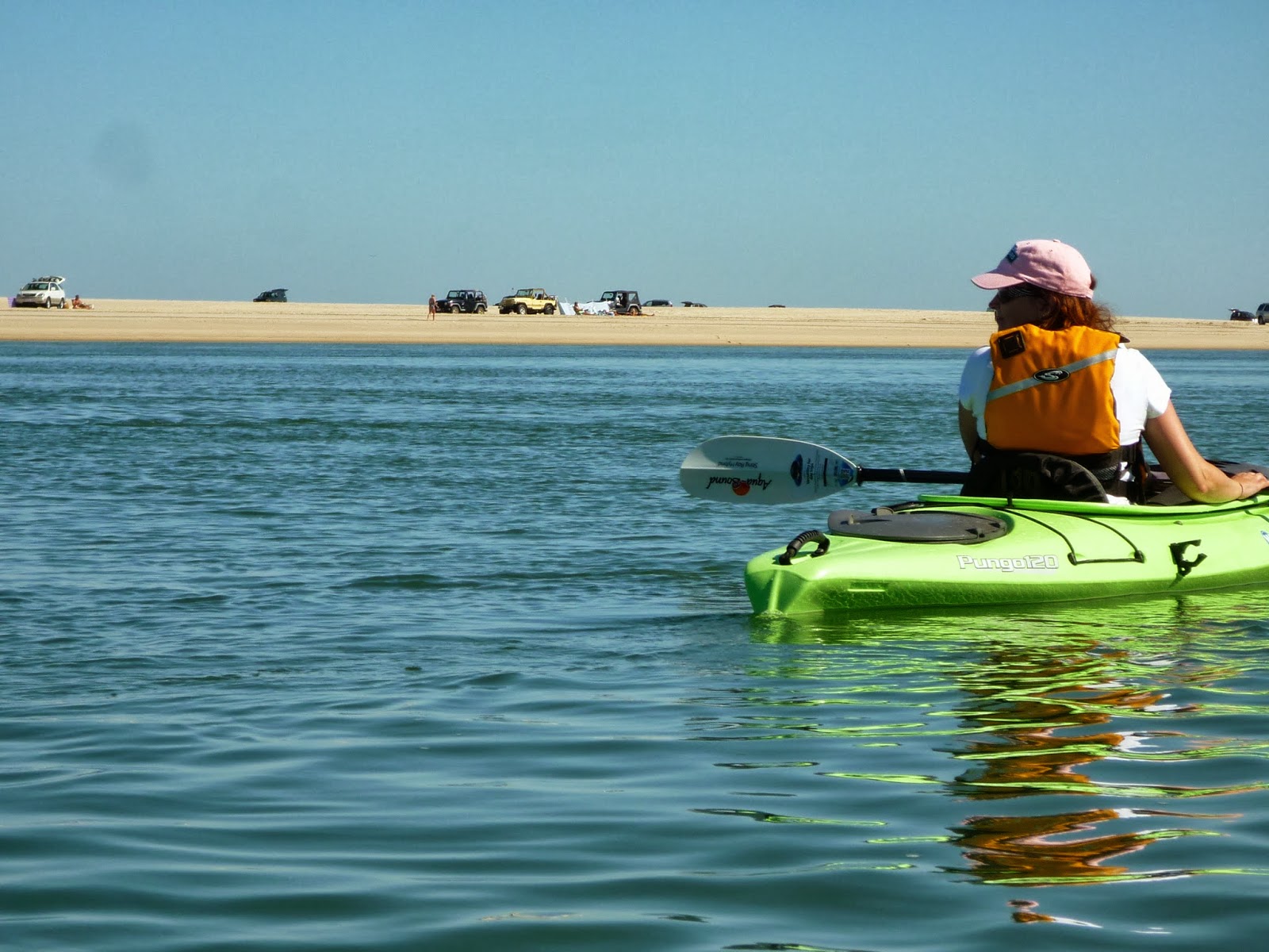 River Sister Kayaking with the seals in Eastham, Massachusetts
