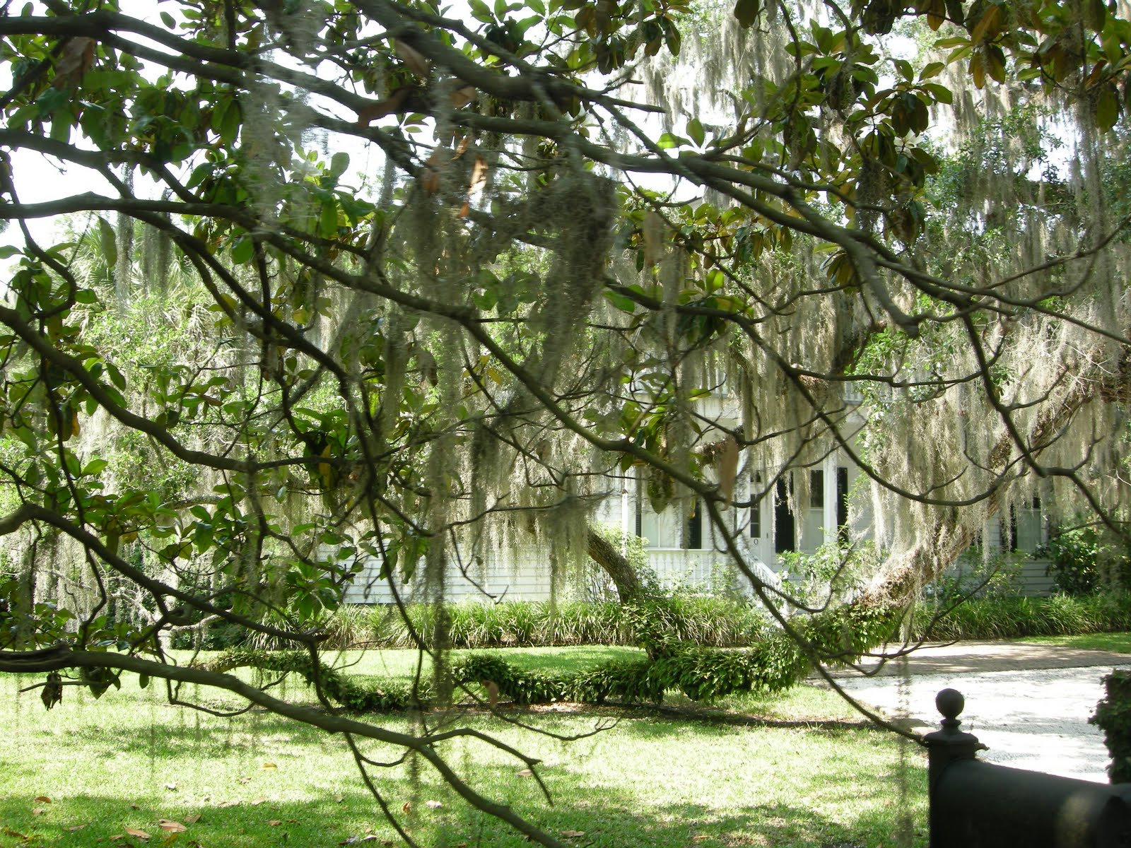 Um olhar sobre... Bluffton, Carolina do Sul