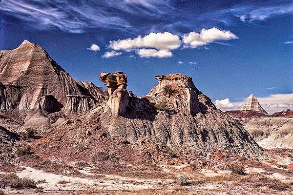 Fred the Camel, Dinosaur Provincial Park