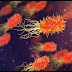 “Bug Sniffer”to Detect Pathogens----By ARI, Pune