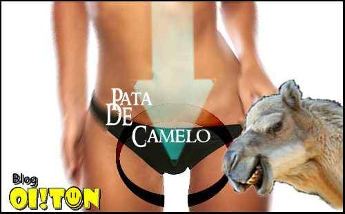 Pata de Camelo das Famosas Pata de Camelo das Famosas