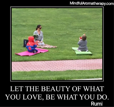 Mindfulness: "Let the beauty of what you love, be what you do." Rumi