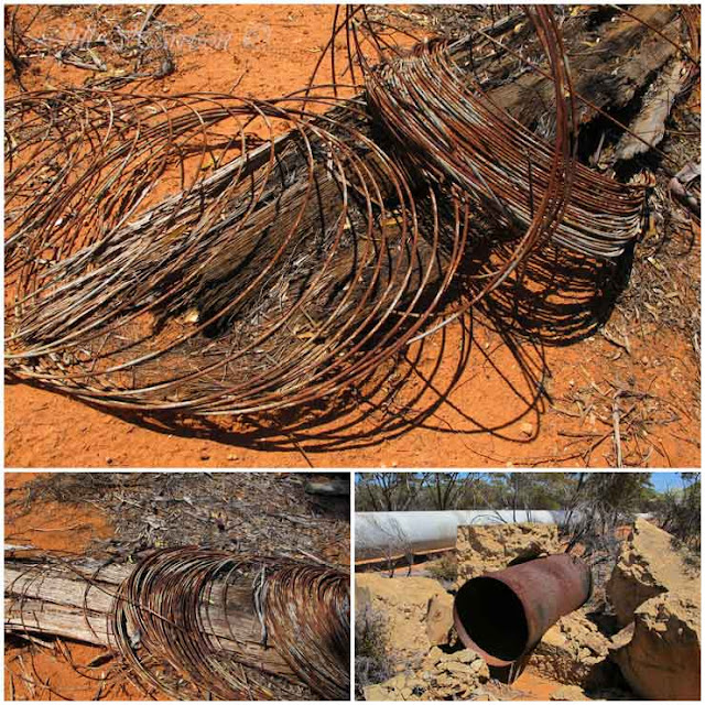 Life Images by Jill The need for water on the goldfields Perth to