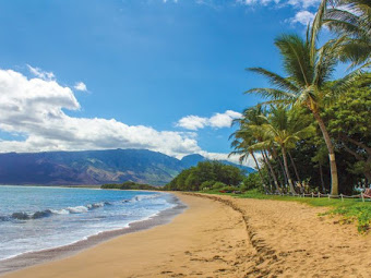 The 7 Best Beaches In Hawaii That You Must Visit Soon [Travel Guide]