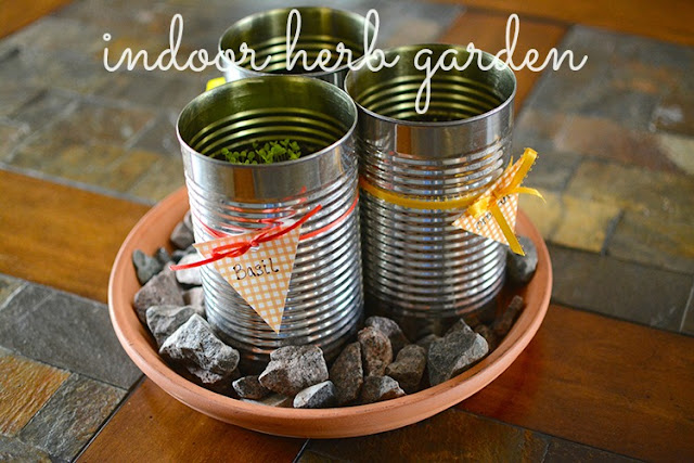 indoor herb garden; DIY | My Darling Days