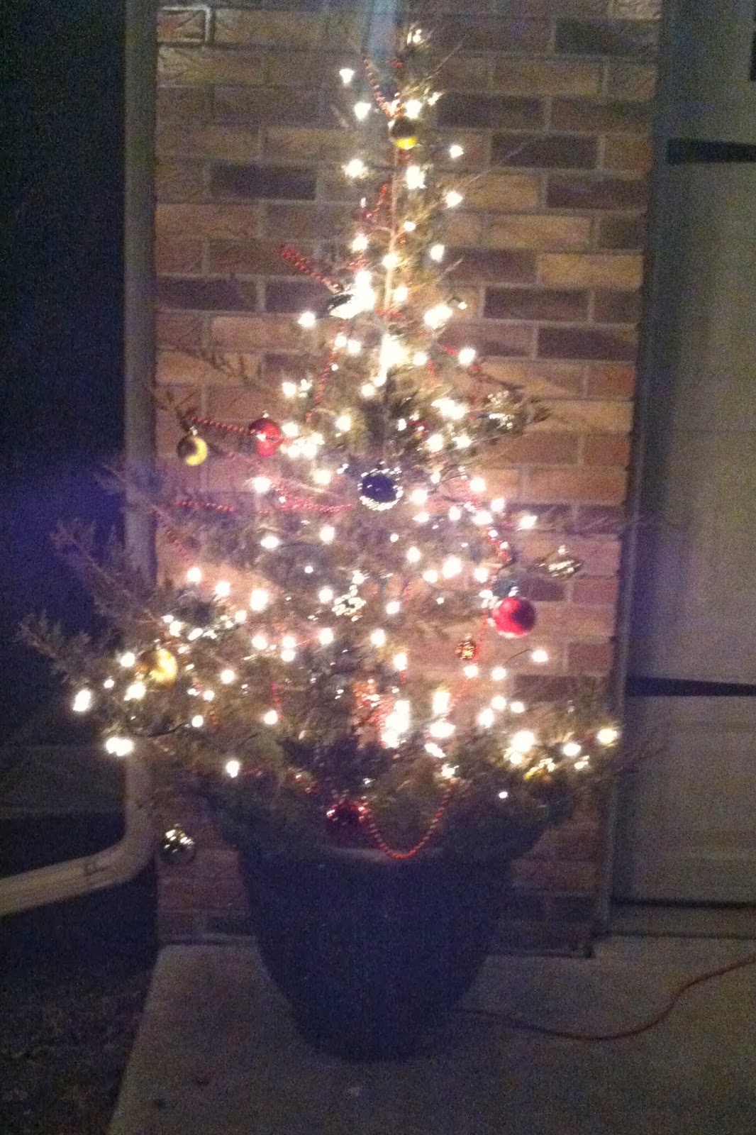 DIY Why Spend More: Free outdoor Christmas trees