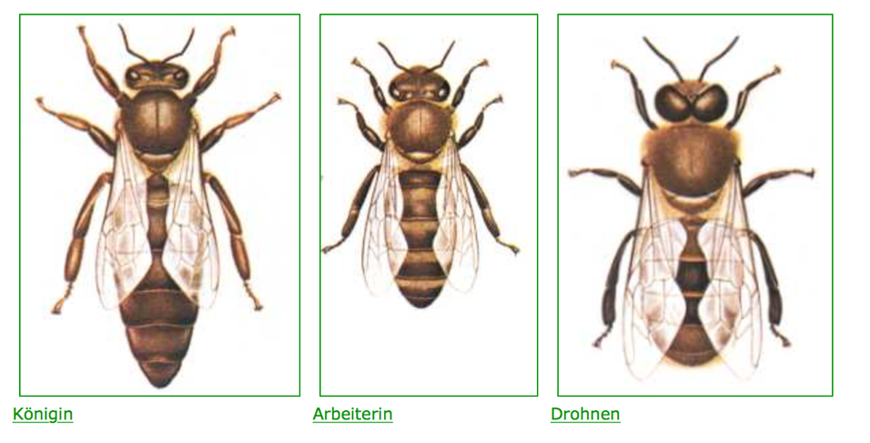 Burgerportal Bergisch Gladbach Nachrichten Hintergrunde Termine