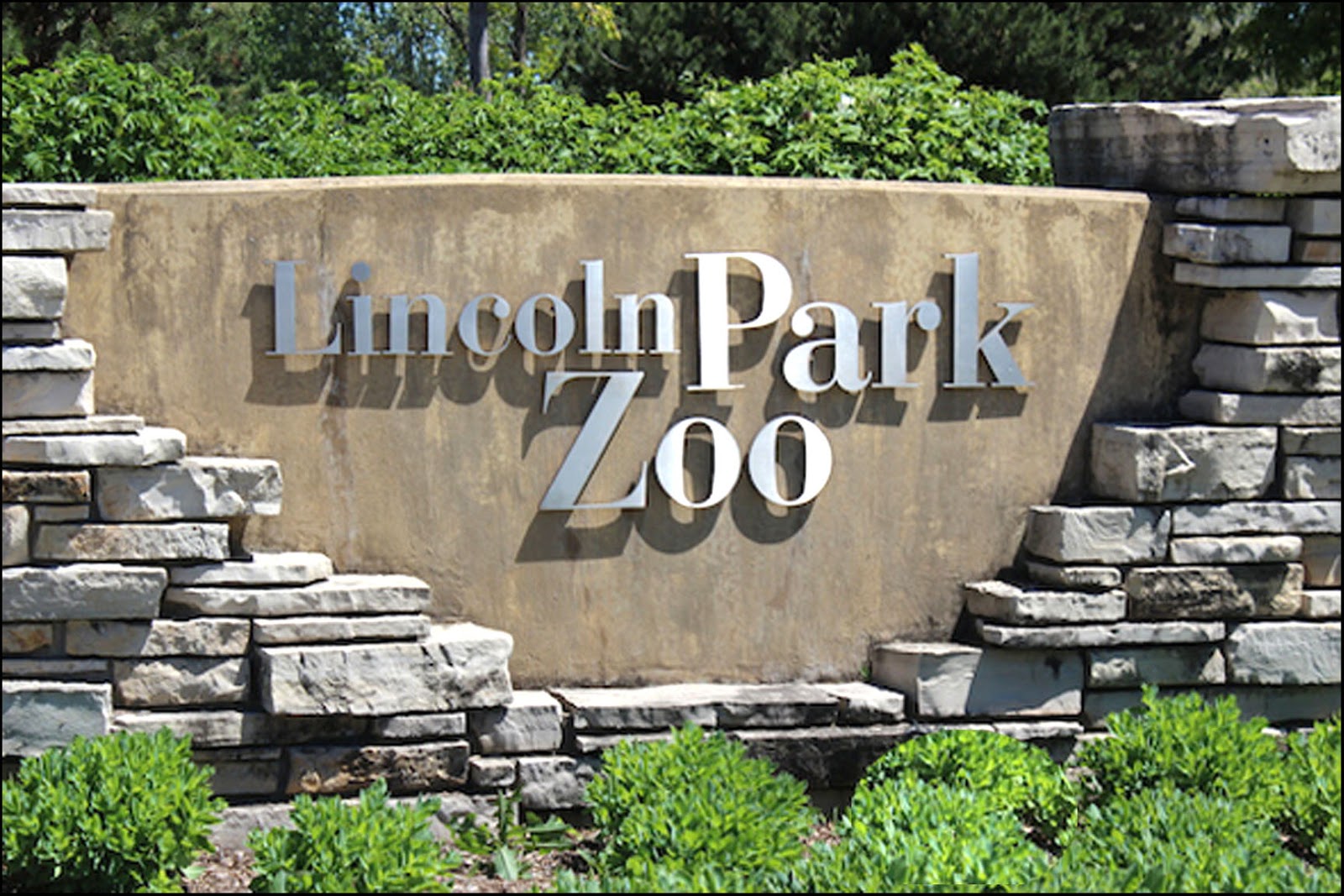 Buckles Blog LINCOLN PARK ZOO