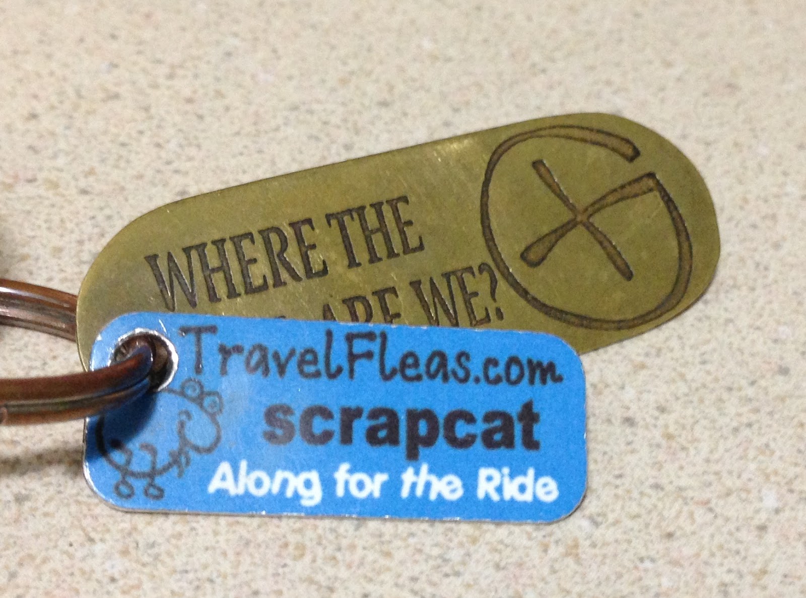 The Caching Bag Travel Fleas and Me!