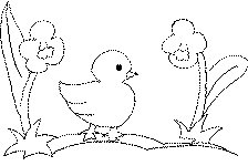 50 desenhos de pintinhos para colorir espaÇo educar