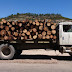 Aseguran en Bocoyna tres camiones con madera de pino